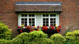 windows-house-bushes-brick